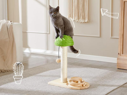 2 - in - 1 Mushroom Cat Scratching Post with Interactive Ball Track — Sisal & Wood - PawJoyful