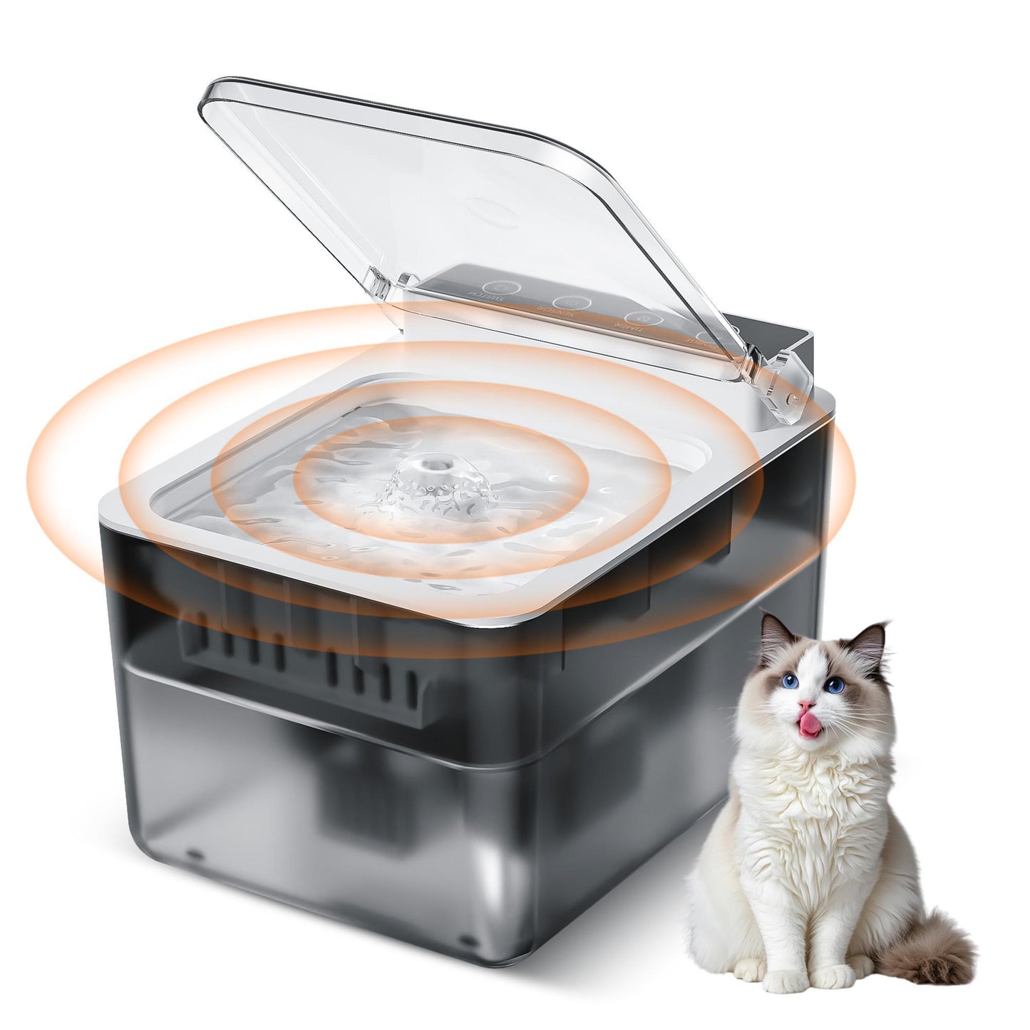 Stainless Steel Pet Water Fountain — Wireless, Silent & Self - Dispensing - PawJoyful